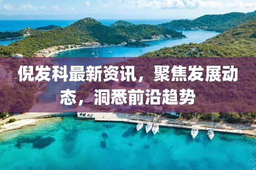 倪发科最新资讯，聚焦发展动态，洞悉前沿趋势