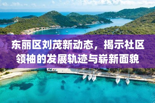 东丽区刘茂新动态，揭示社区领袖的发展轨迹与崭新面貌