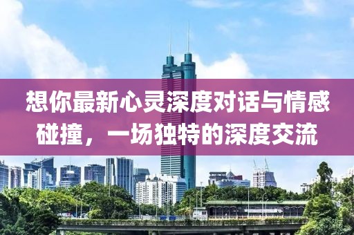 想你最新心灵深度对话与情感碰撞，一场独特的深度交流