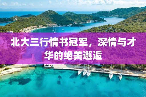 北大三行情书冠军，深情与才华的绝美邂逅