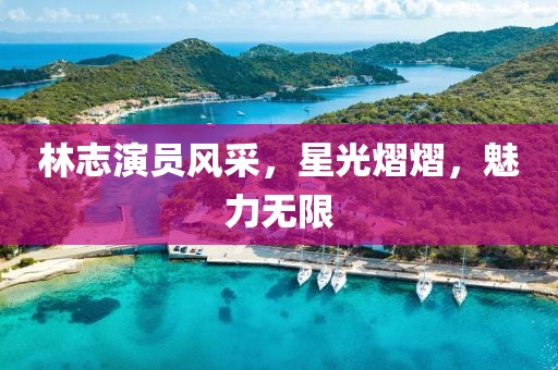 林志演员风采，星光熠熠，魅力无限