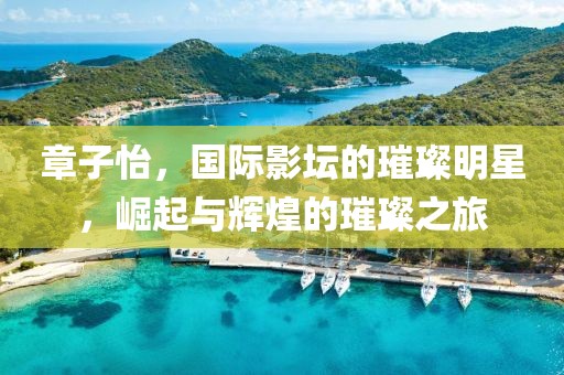 章子怡，国际影坛的璀璨明星，崛起与辉煌的璀璨之旅