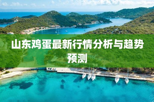 山东鸡蛋最新行情分析与趋势预测