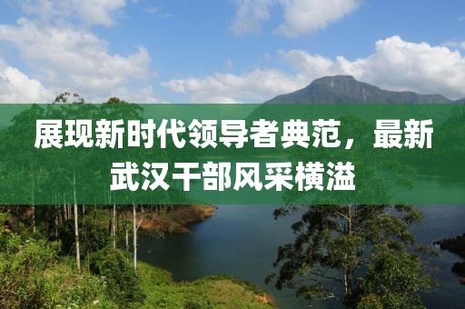展现新时代领导者典范，最新武汉干部风采横溢