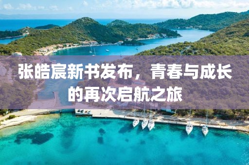 张皓宸新书发布，青春与成长的再次启航之旅
