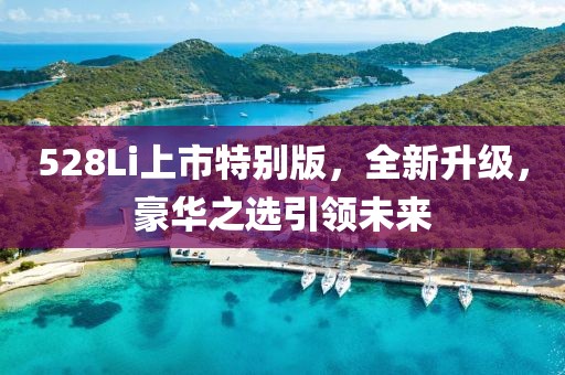 528Li上市特别版，全新升级，豪华之选引领未来
