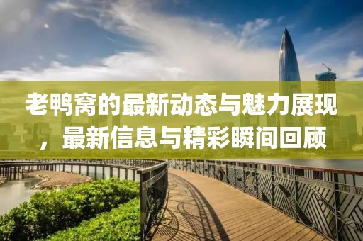 老鸭窝的最新动态与魅力展现，最新信息与精彩瞬间回顾