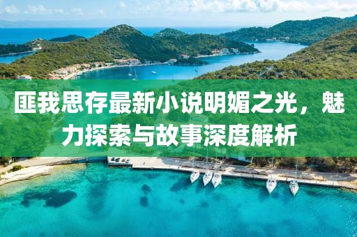 匪我思存最新小说明媚之光，魅力探索与故事深度解析