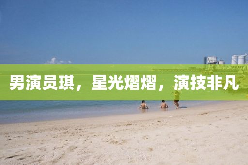 男演员琪，星光熠熠，演技非凡