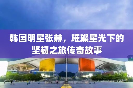 韩国明星张赫，璀璨星光下的坚韧之旅传奇故事