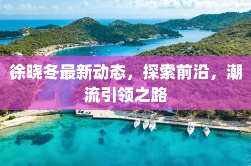 徐晓冬最新动态，探索前沿，潮流引领之路