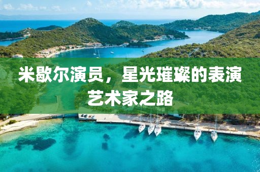 米歇尔演员，星光璀璨的表演艺术家之路