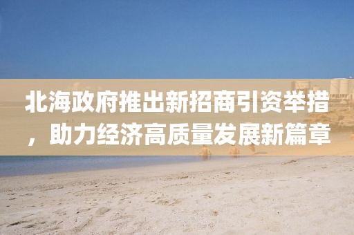 放手的纸鸢 第14页