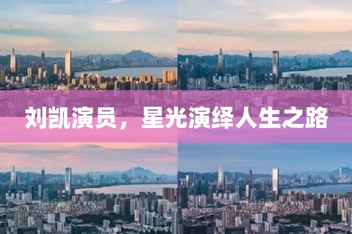 刘凯演员，星光演绎人生之路