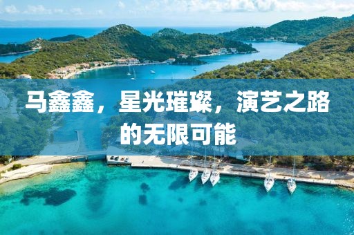 马鑫鑫，星光璀璨，演艺之路的无限可能