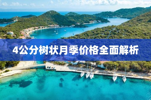 4公分树状月季价格全面解析