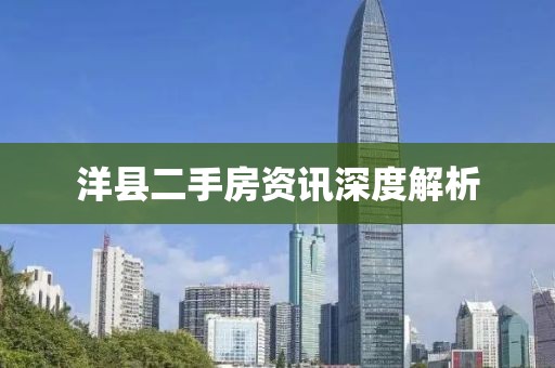 洋县二手房资讯深度解析