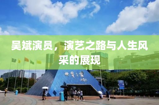 吴斌演员，演艺之路与人生风采的展现