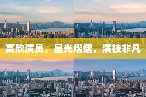 高欣演员，星光熠熠，演技非凡