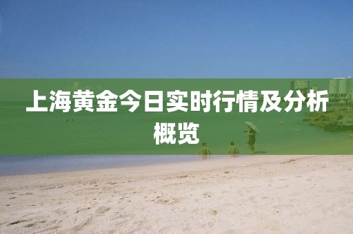 上海黄金今日实时行情及分析概览
