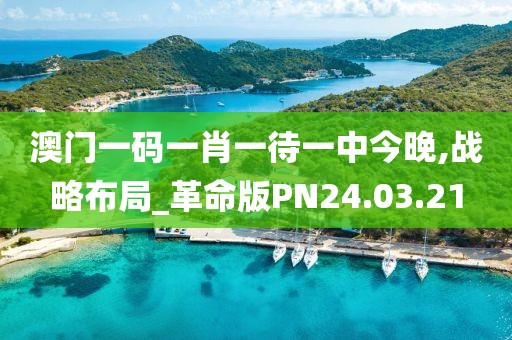 澳门一码一肖一待一中今晚,战略布局_革命版PN24.03.21