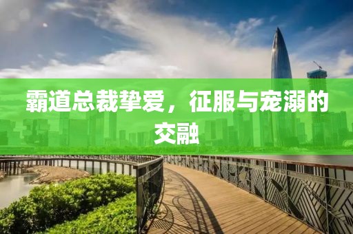 霸道总裁挚爱，征服与宠溺的交融