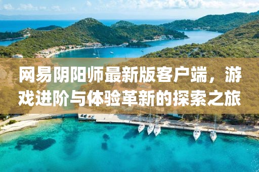 网易阴阳师最新版客户端，游戏进阶与体验革新的探索之旅
