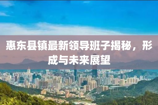 惠东县镇最新领导班子揭秘，形成与未来展望