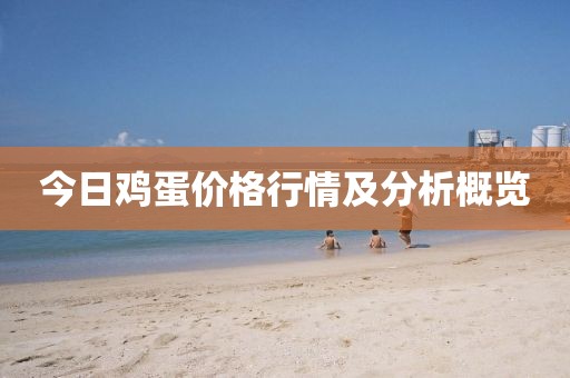 今日鸡蛋价格行情及分析概览