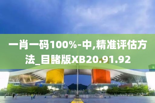 一肖一码100%-中,精准评估方法_目睹版XB20.91.92
