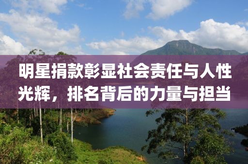 明星捐款彰显社会责任与人性光辉，排名背后的力量与担当