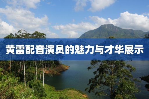 黄雷配音演员的魅力与才华展示