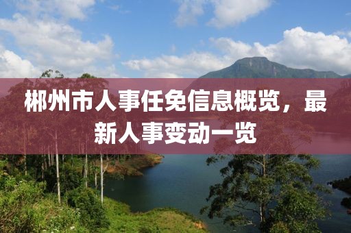 郴州市人事任免信息概览，最新人事变动一览