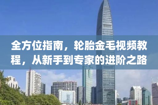 全方位指南，轮胎金毛视频教程，从新手到专家的进阶之路