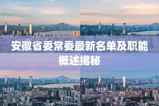 安徽省委常委最新名单及职能概述揭秘