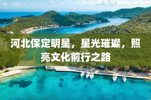 河北保定明星，星光璀璨，照亮文化前行之路