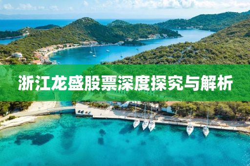浙江龙盛股票深度探究与解析