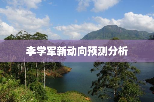李学军新动向预测分析