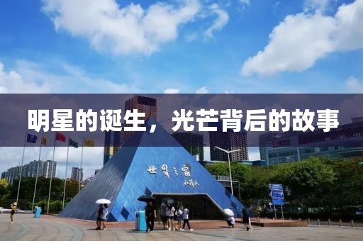 明星的诞生，光芒背后的故事