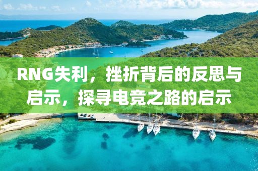 RNG失利，挫折背后的反思与启示，探寻电竞之路的启示