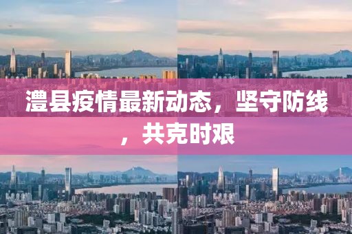 澧县疫情最新动态，坚守防线，共克时艰