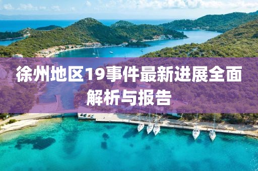 徐州地区19事件最新进展全面解析与报告