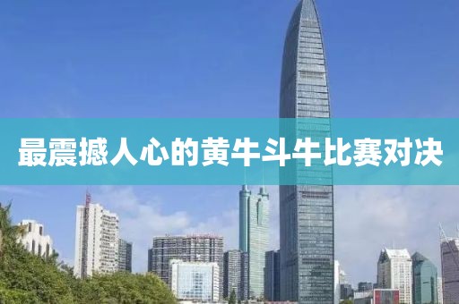 最震撼人心的黄牛斗牛比赛对决