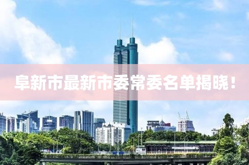 阜新市最新市委常委名单揭晓！