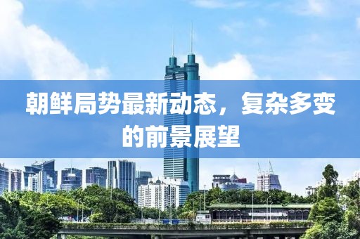 朝鲜局势最新动态，复杂多变的前景展望