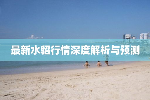 最新水貂行情深度解析与预测