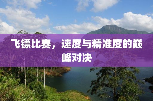 飞镖比赛，速度与精准度的巅峰对决