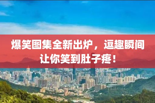 爆笑图集全新出炉，逗趣瞬间让你笑到肚子疼！