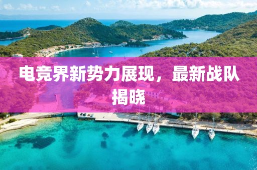 电竞界新势力展现，最新战队揭晓