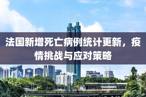 法国新增死亡病例统计更新，疫情挑战与应对策略
